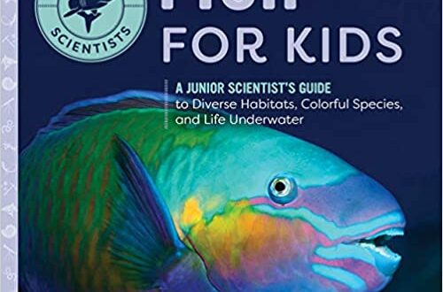 Fish For Kids